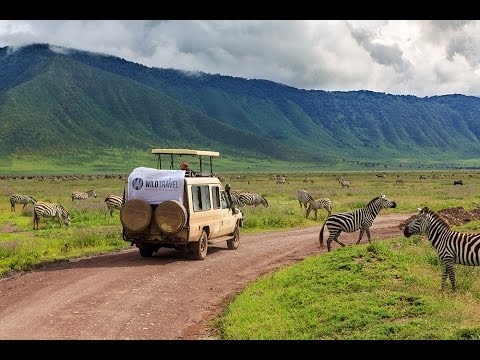 טיול ספארי בטנזניה - Wild Travel