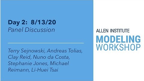 Allen Institute Modeling Workshop | Panel discussion with day 2 presenters