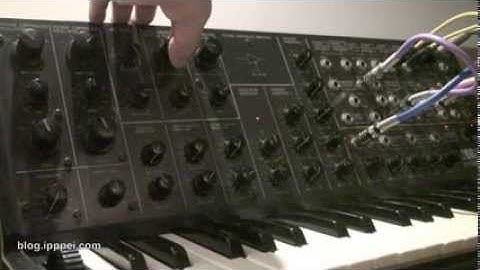 Korg MS-20 splashy loop #korgms20