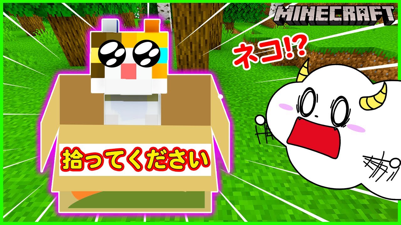捨てられたネコを拾って育てよう！猫が恩返しでクリーパーから助けてくれる？？【マインクラフト・マイクラ】【サンクラ】｜知育アプリ・ゲーム実況｜★サンサンキッズGAMES★