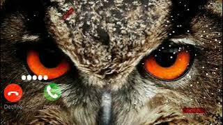 Top Owl sms notification owl | new ringtone | Lover Ringtone| message tone Karan YT Store