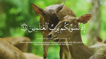 سوره الشعراء القارئ طارق محمد