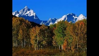 Autumn Distance | A Smooth  Classic Jazz Piano Original | Classic American Jazz Standards Series