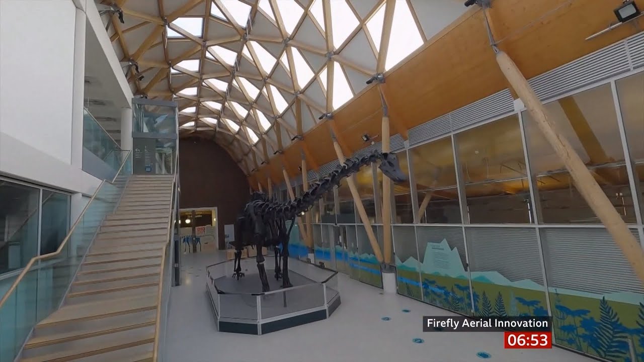 Dippy the diplodocus (dinosaur fossil) gets a new semi-permanent home in Coventry (UK)