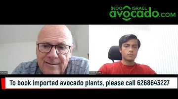 Ettinger avocado with Dr Roberto Nathan | 6268643227 | Harshit Godha