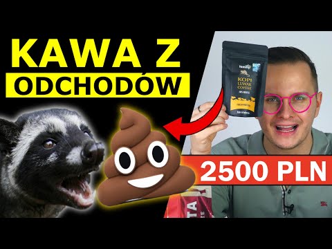 Wideo: Ile kosztuje kawa kopi luwak?
