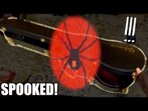 spooked-by-the-black-widow-lp-while-unboxing-guitars-|-trogly's-vlogly-#6