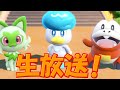 【生配信】ホムラディンルー出撃！【ポケットモンスター スカーレット】