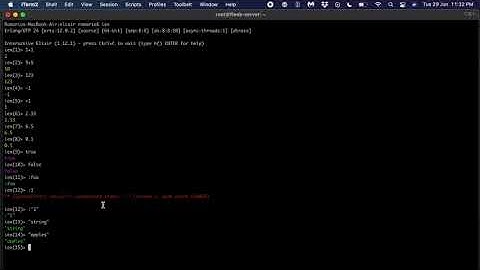 Elixir Programming Course for Beginners - Data Types