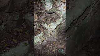 Arquitectura maya. Estructura de los pasajes internos de Yo'okop, Quintana Roo, México