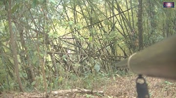 Rov mus cuab qaib thiab tua noog tiam sis pos huab kawg li