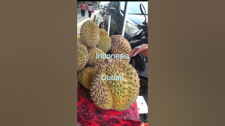 Smelly durian fruit,love it or hate it?