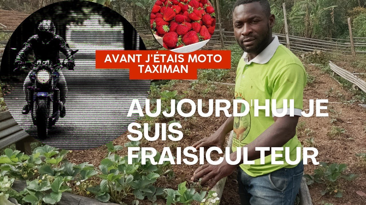 la culture biologique de la fraise  a changé leurs vies!!!