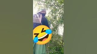 Mikat Platuk Beras Dapat Banyak Tanpa Ribet