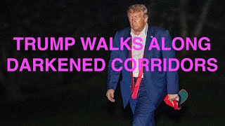 Trump Walks Along Darkened Corridors #TrumpWalkOfShame (song by TMBG)
