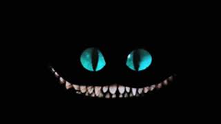 Футаж чеширский кот улыбается и моргающие  глаза на черном фоне
