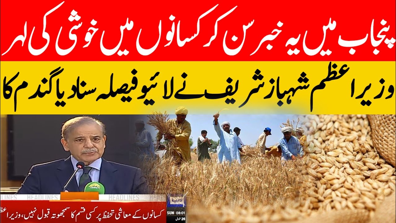  wheat support price in punjab
