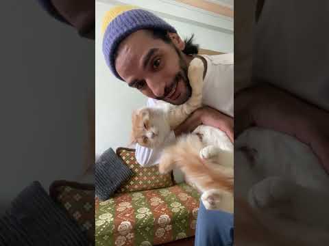 هذا هو صديقي معاذ قطط الدار البيضاء أكادير السعودية فرنسا الكويت الامارات الله 3