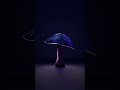 Magical Mushroom | Blender Texture Painting