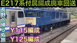 E217系付属編成Y115編成.125編成　長野へ廃車回送、帰らぬ旅