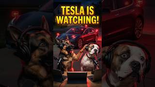 "Tesla Sentry Mode is Spying On Us 😂" #shorts #funnydogs