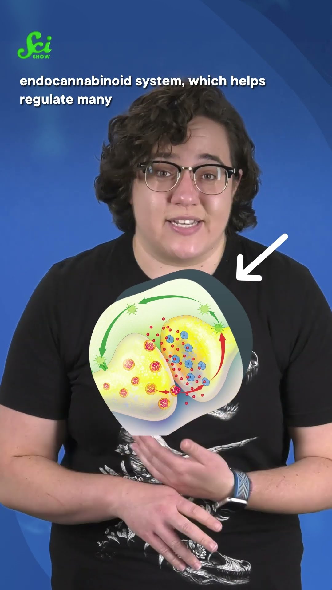 Worms can get the munchies. #shorts #science #SciShow