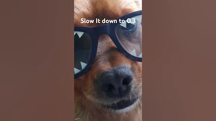 Slow It down to 0.3 #markoxsnails #memes #funny #reccomended #foryou #urmom #dontstarvetogether