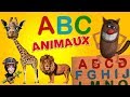 Foufou  lalphabet des animaux pour les enfants learn the alphabet with animals for kids 4k