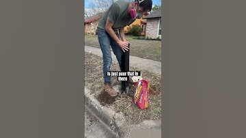 How to replace your mailbox tutorial on my channel 🥳 #mailboxes #fixerupper