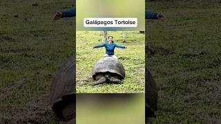 Longest Living Creatures 😳#shorts