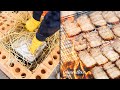 🔥볏짚통삼겹구이｜Rice Straw Pork Belly｜벽돌 사각공캔 오븐에 짚불향을 가득입힌 삼겹살 구이!!