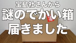 【雑誌付録】宝島社さんから謎のでかい箱届きました