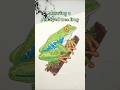 🐸 drawing a red-eyed tree frog #shorts
