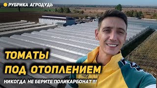 Воронеж - томаты под отоплением. Сколько лет живет пленка Светлица?