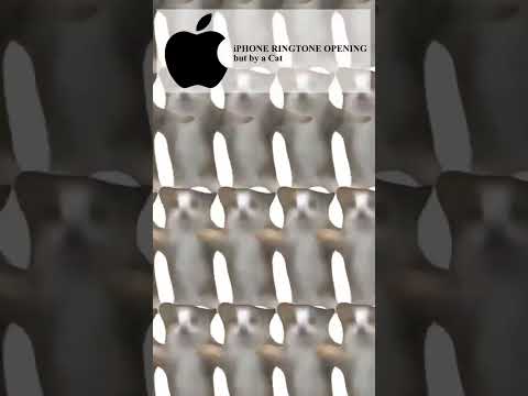ترند تيك توك نغمة ايفون بصوت قطة هابي هابي هابي