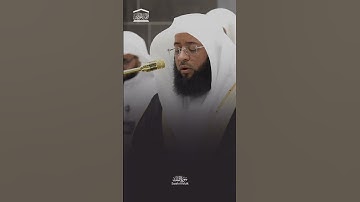 أَوَلَمْ يَرَوْا إِلَى الطَّيْرِ فَوْقَهُمْ صَافَّاتٍ وَيَقْبِضْنَ ۚ. تلاوة رائعة الشيخ بدر التركي.