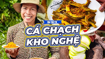 Bữa Cơm Quê Yên Bình Với Món Cá Chạch Kho Nghệ Vàng Ươm | Tài Trí TV
