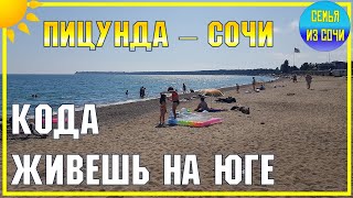 ПИЦУНДА - СОЧИ | Когда живешь на Юге | Субтропический рай в отдельно взятом регионе!))