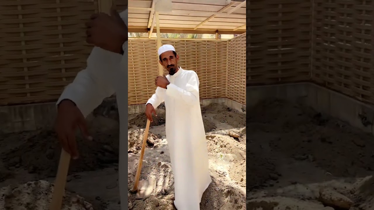 طريقه اعمار النخل بعد الصرام