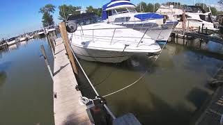 Celebrity 2002 Cruisers 4270 by Great Lakes Boats and Brokerage Wealth