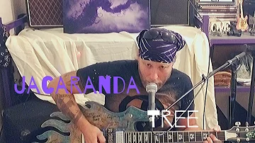 Jacaranda Tree - Original Song By Johnnie Ferro