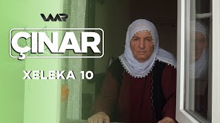 Çinar - Hecî Muhye چنار - حەجییا موهیە