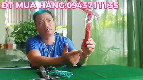KÉO CẮT TỈA CÀNH CÂY HÁI HOA QUẢ TRÊN CAO MẪU NHƯ VIDEO TEST CHUẨN LUÔN 
