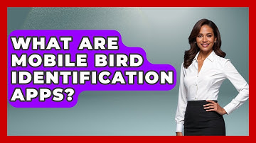 What Are Mobile Bird Identification Apps? - Bird Watching Diaries
