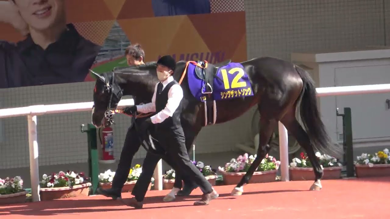 リバティアイランド　阪神JF　桜花賞　オークス　秋華賞　現地的中単勝馬券セット リバティアイランド 阪神JF 桜花賞 オークス 秋華賞 現地的中