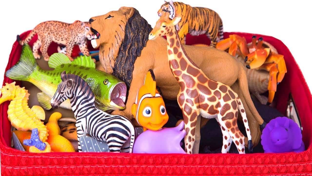 Learn Wild Zoo Animals Names for Kids Safari Education Sea Animal Learn
