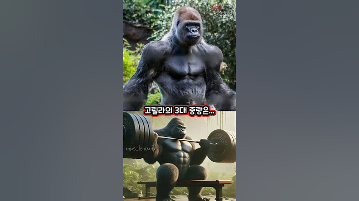 와ㅆ.. 고릴라 3대 중량 개미쳤네!?ㄷㄷ