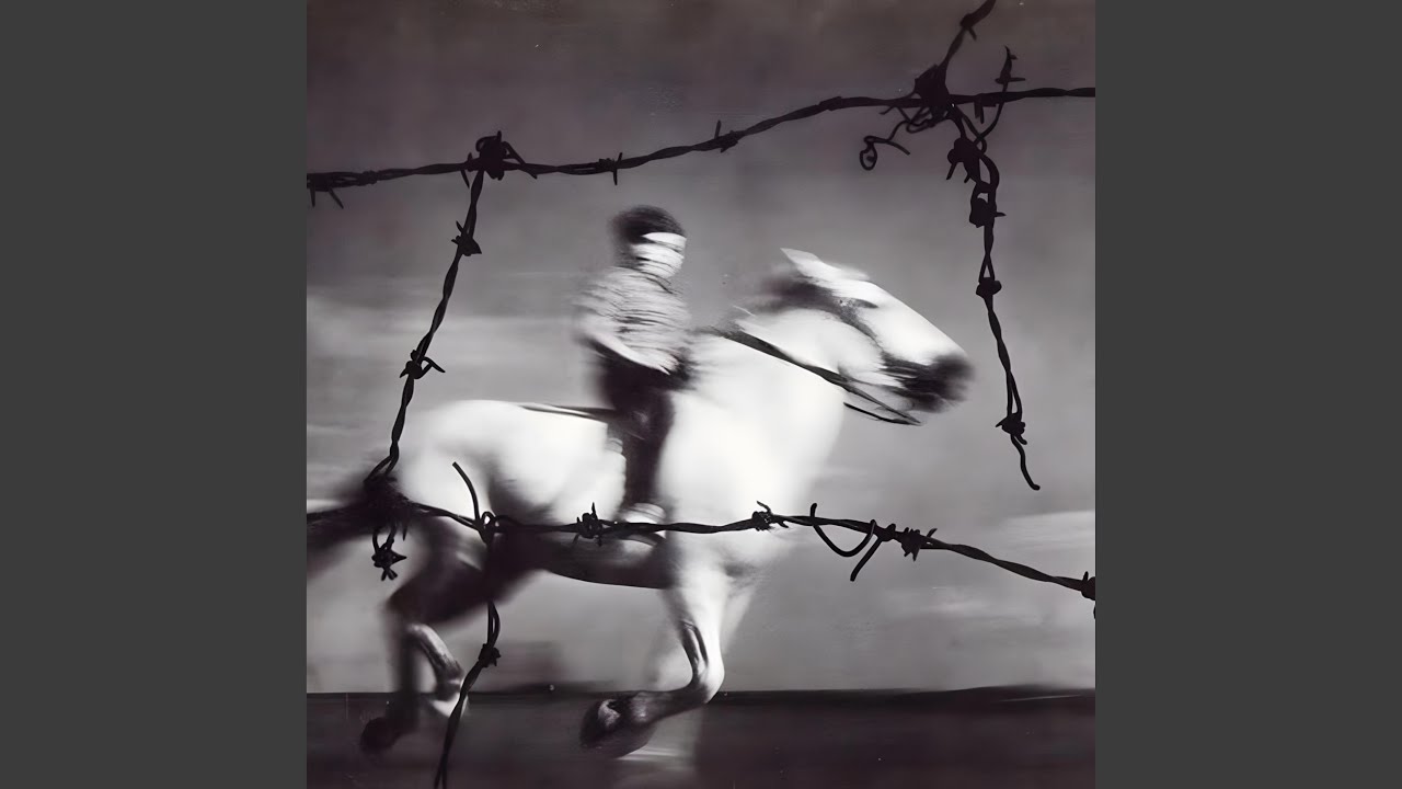 FEELING adlı videoyu YouTube'da izle FEELING adlı videoyu YouTube'da izle