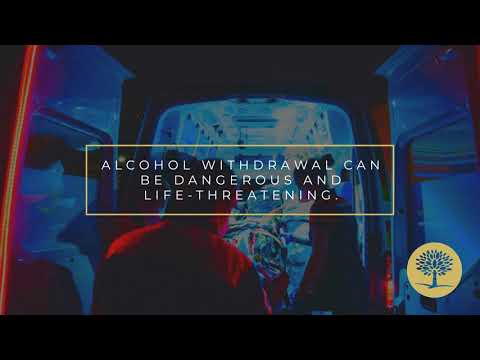 Can You Detox from Alcohol Without Professional Help? (Separating Myth from Fact)