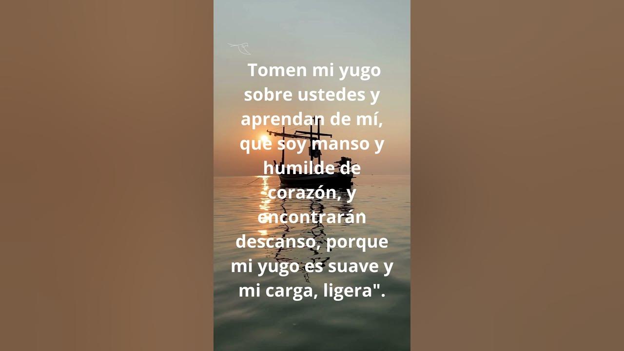 Evangelio 13 de diciembre YouTube